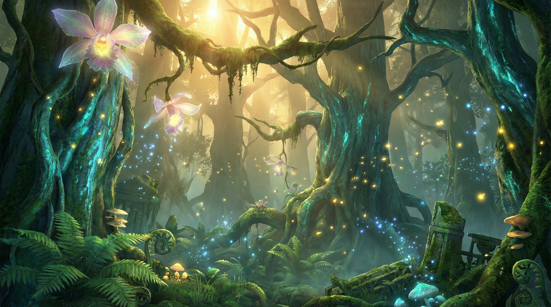 红桃视频天山雪岭云杉探秘植物视频